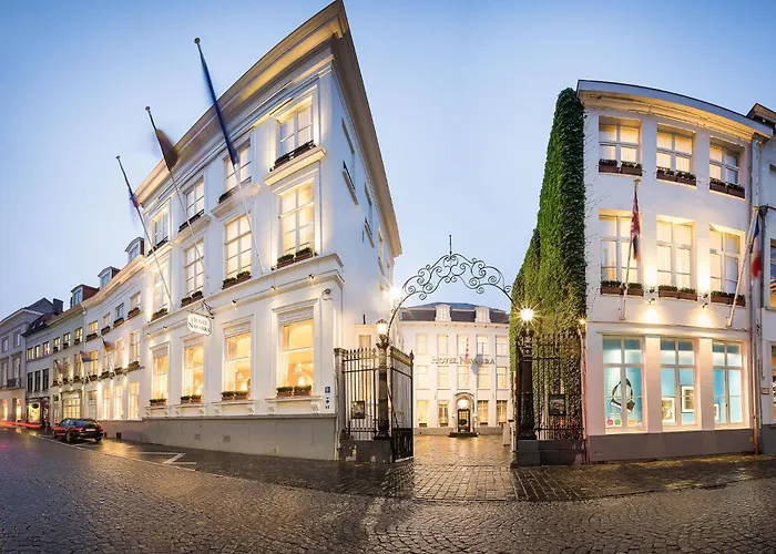 Hôtel accueillant les animaux: Hotel Navarra Brugge