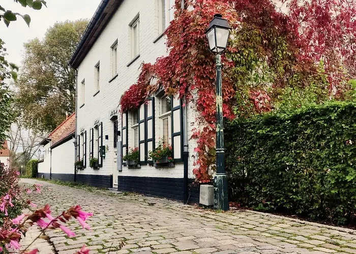 B&B Lisdodde